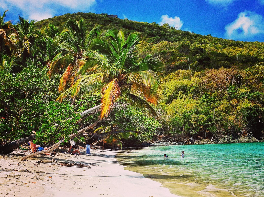 Maho Bay Beach-克鲁兹湾必去景点