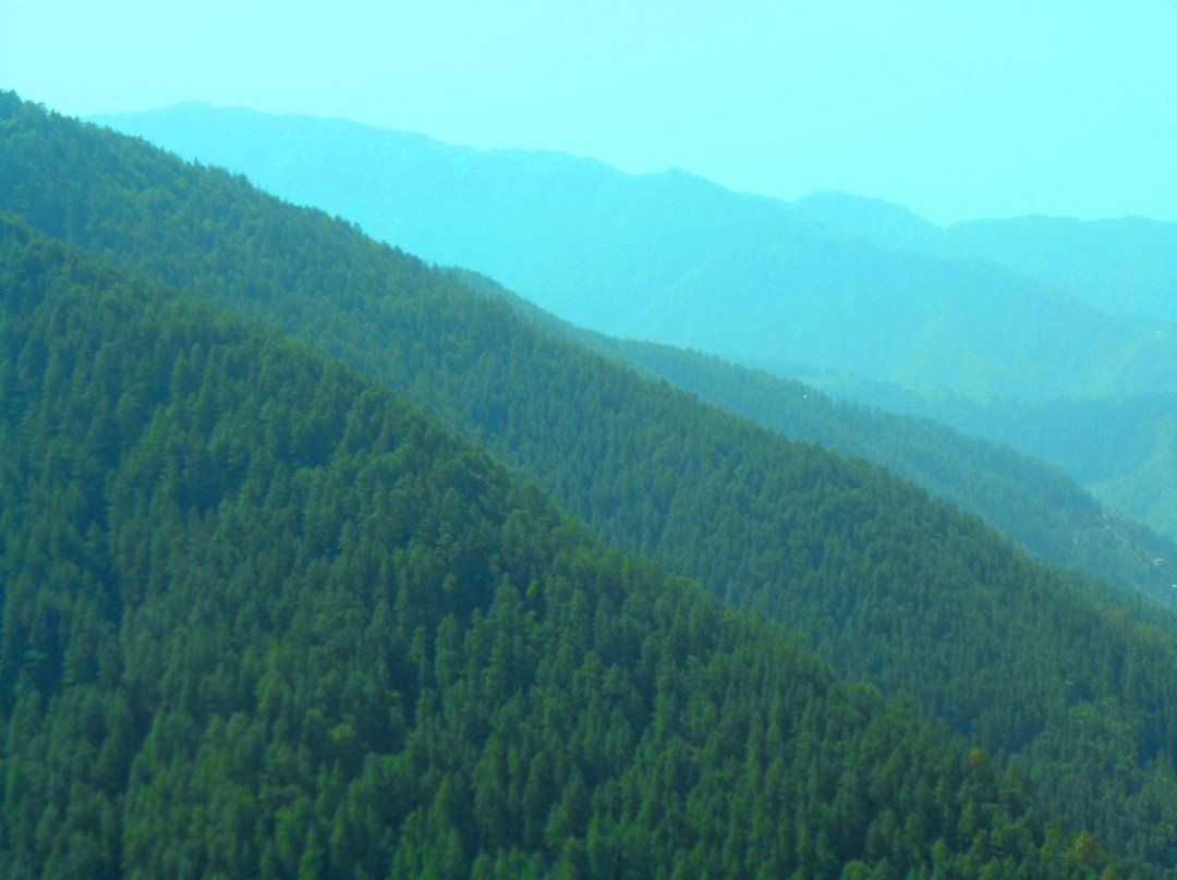 Green Valley景点图片