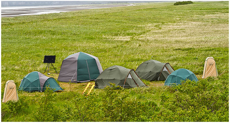 Alaska Bear Expeditions Bear Viewing Tours-卡特迈国家公园及自然保护区必去景点