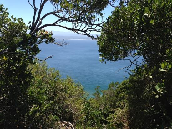 Robberg Nature Reserve-普利登堡湾必去景点