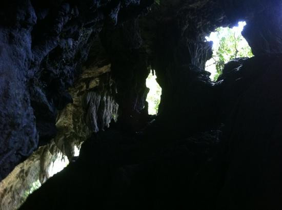 Bantimurung National Park景点图片