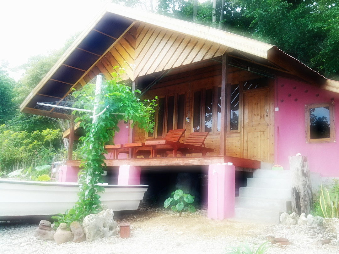 Steffen Sea Sports-韦岛必去景点