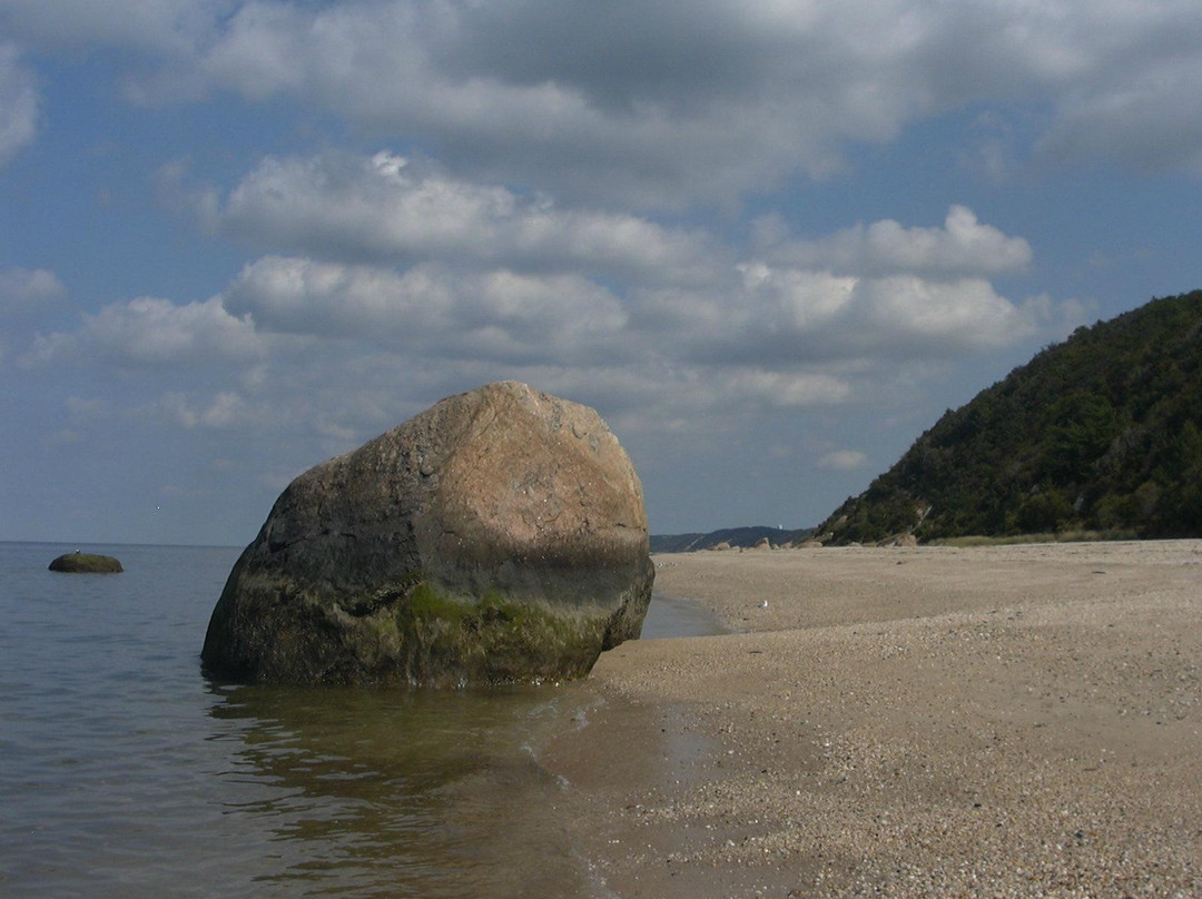 Wildwood State Park景点图片