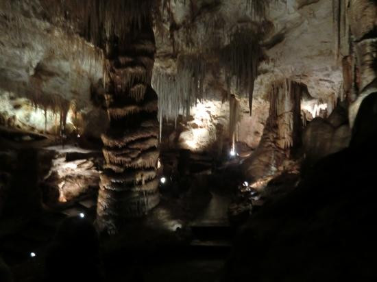 Tantanoola Caves Conservation Park景点图片