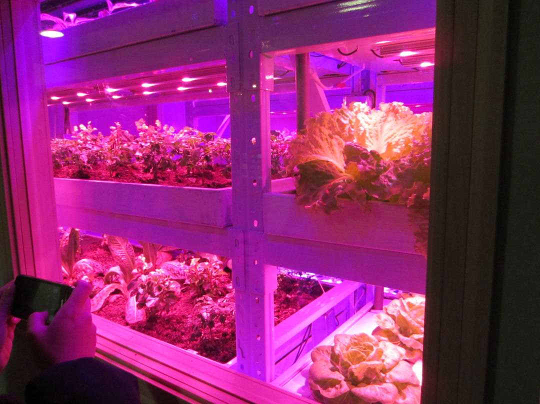 杨凌昆虫博物馆-咸阳市必去景点