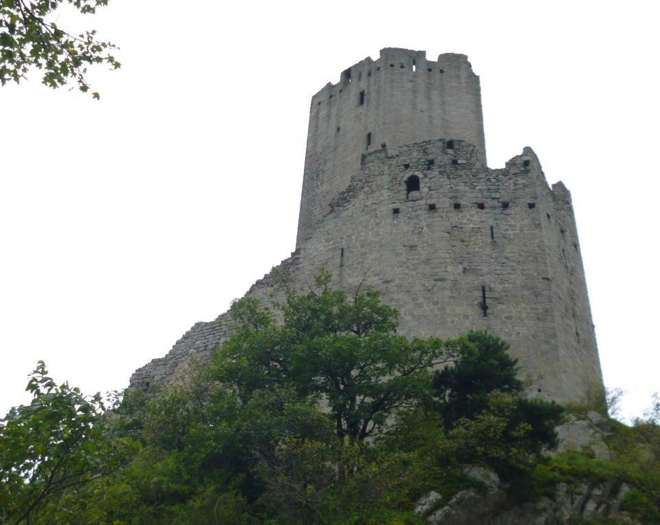 Ortenbourg Castle景点图片