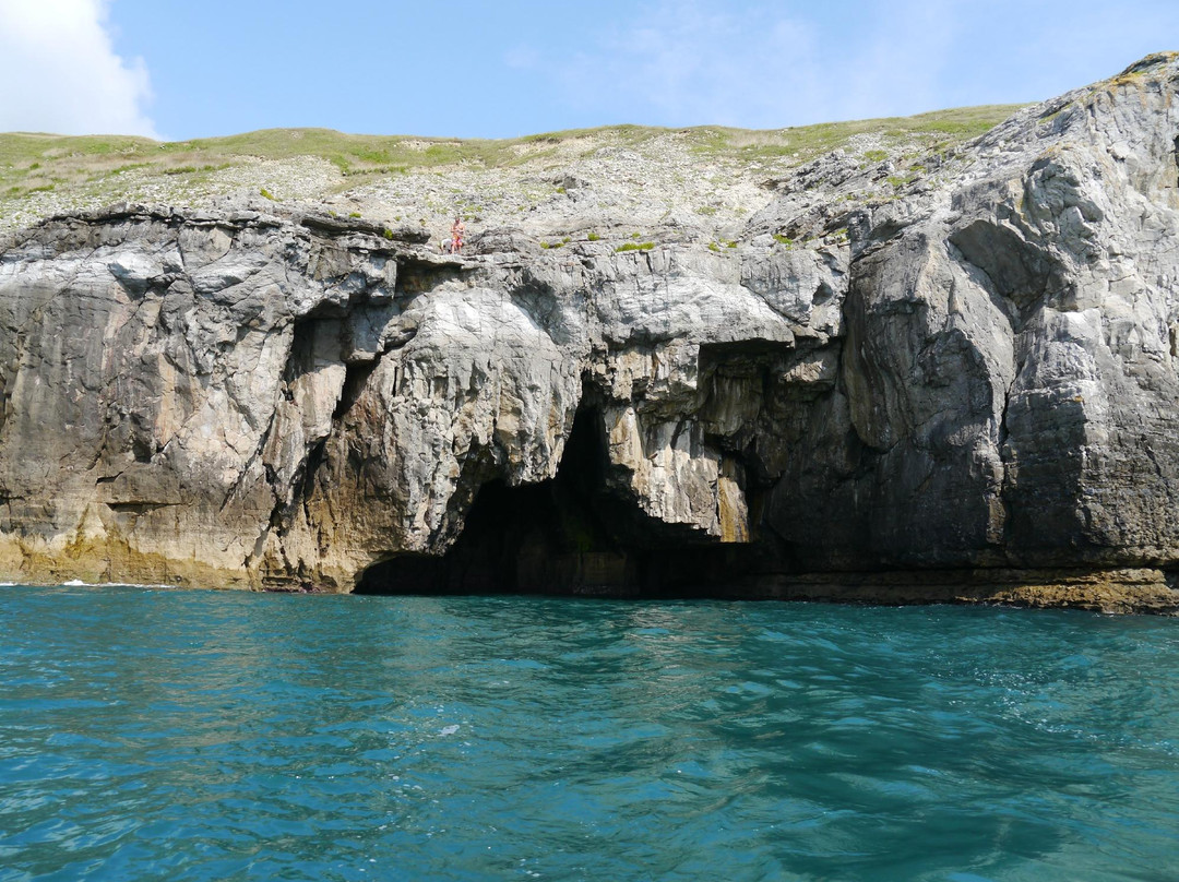 Poole Sea Safari-普尔必去景点