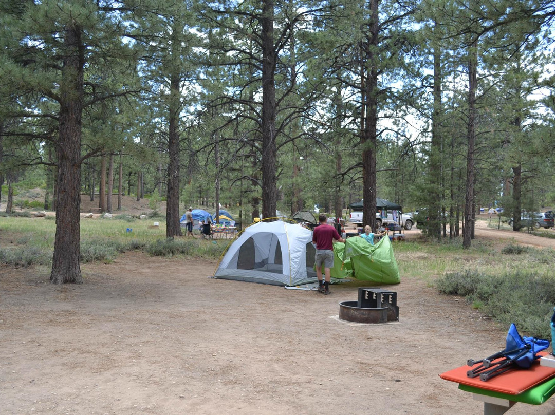 Sunset Campground
