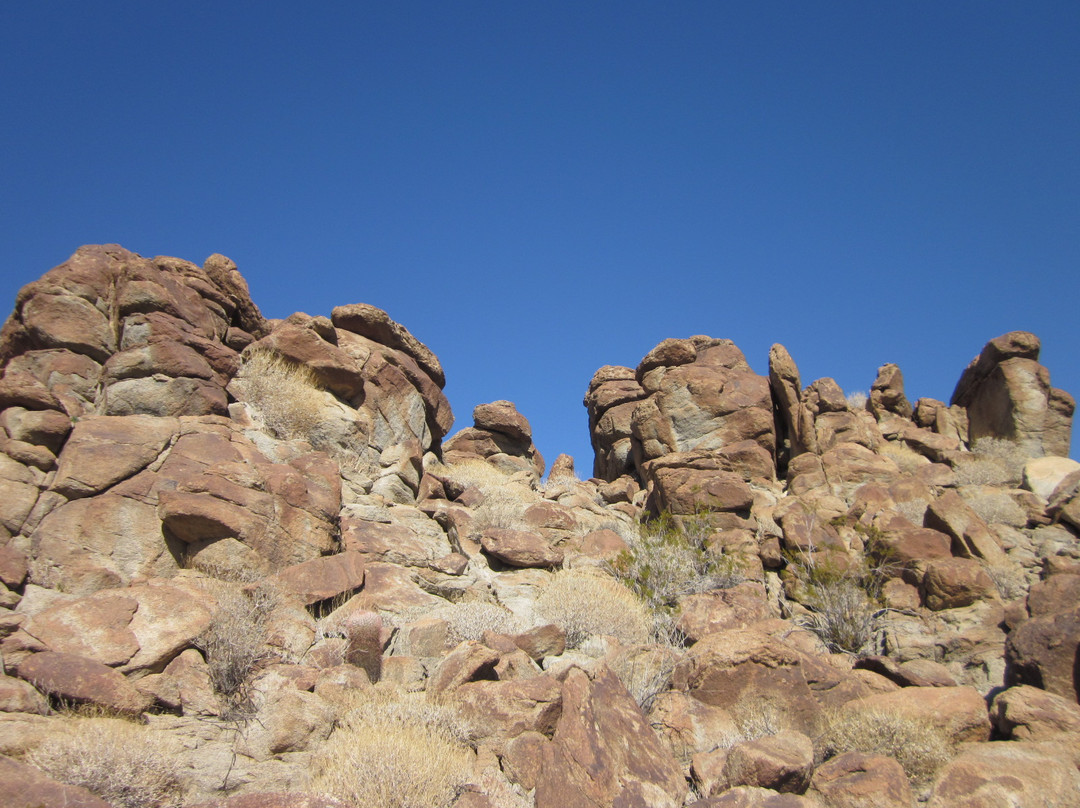 Santa Rosa & San Jacinto Mountains National Monument Visitor Center-棕榈沙漠必去景点