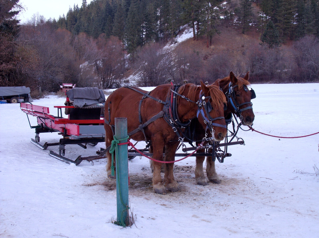 Eagle Creek Ranch景点图片