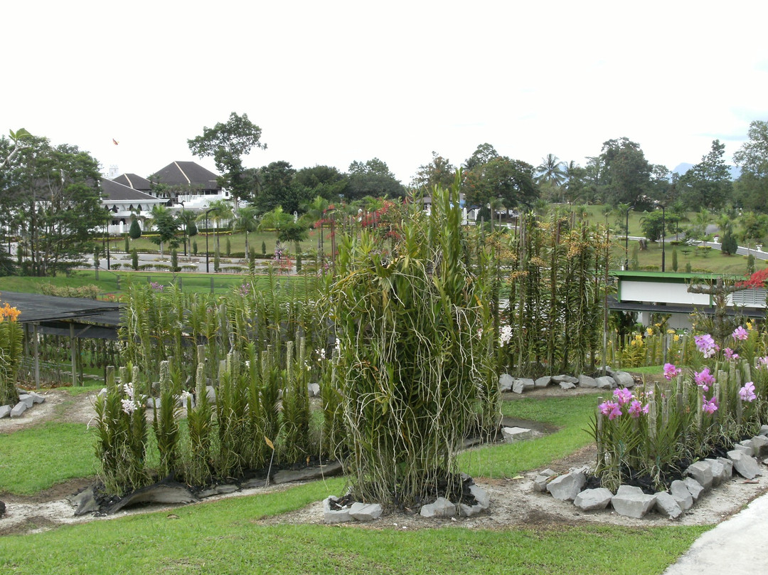Sarawak Orchid Garden-古晋必去景点