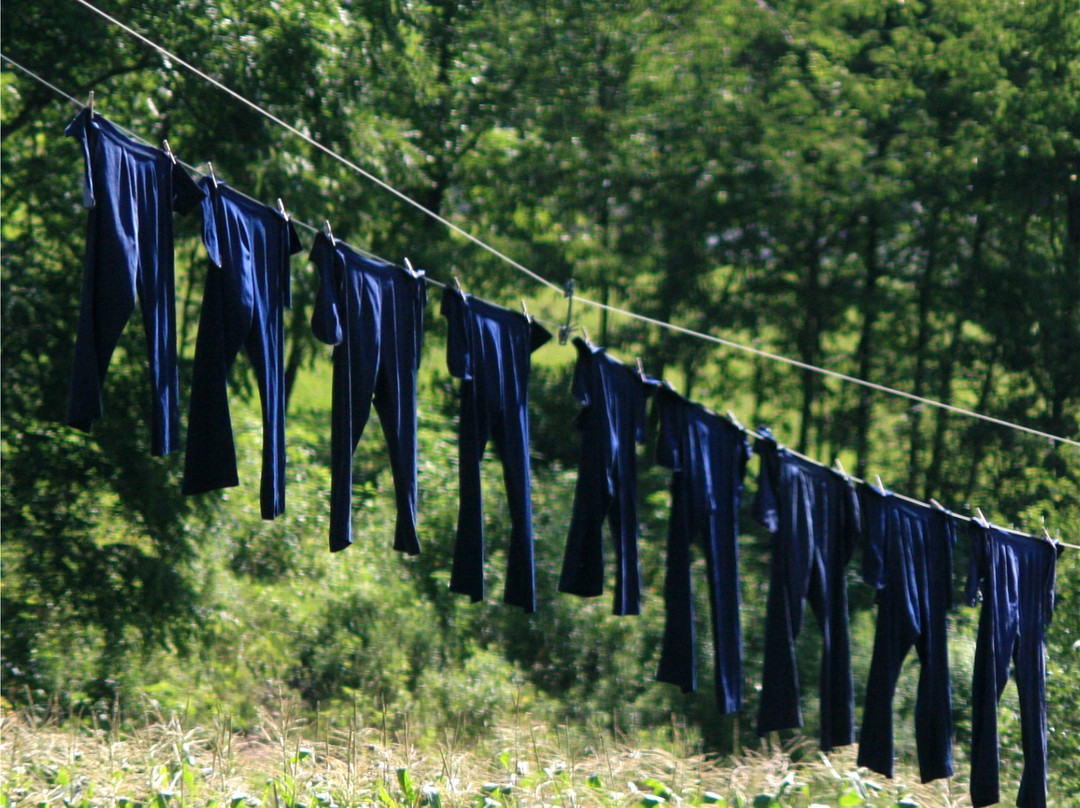 Amish Heartland Tours-Berlin必去景点