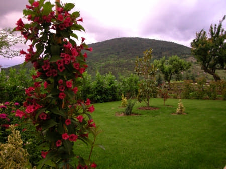 Come a Casa Tua主图