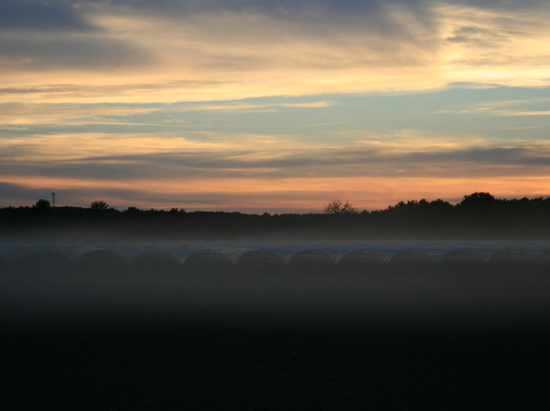 Les Tilleuls de la voie verte主图