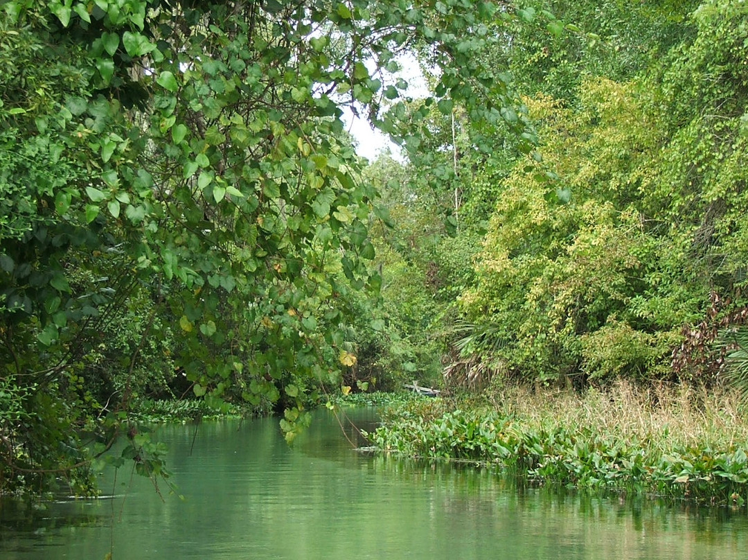 Rock Springs Run State Reserve景点图片