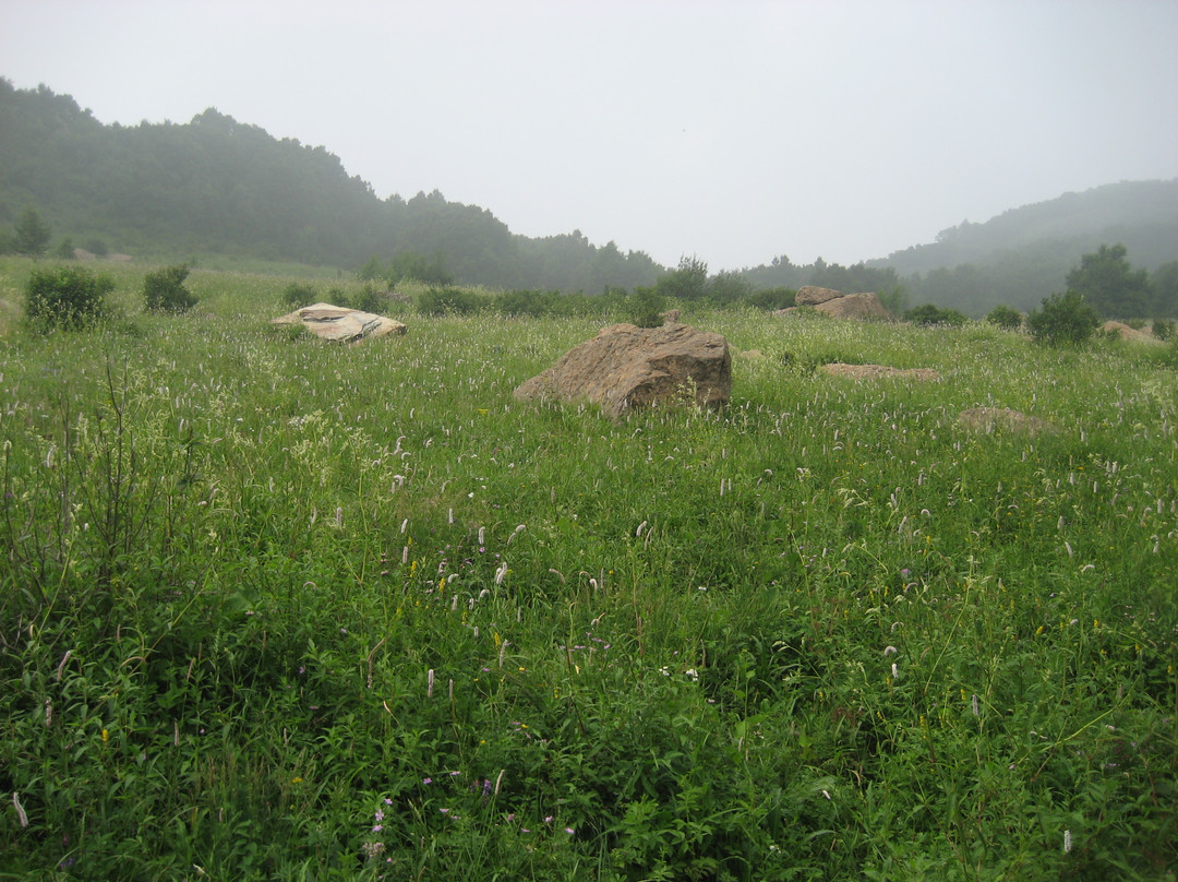 百花山国家级自然保护区-北京市必去景点