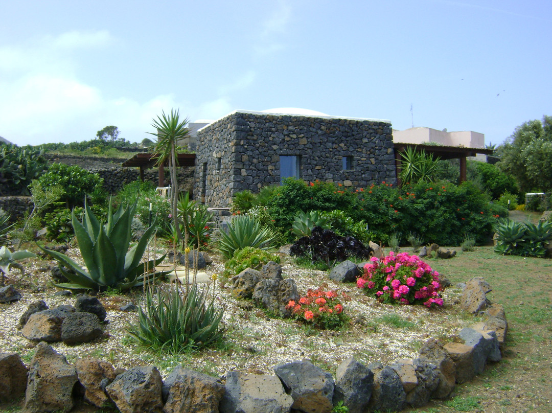 潘泰莱里亚酒店住宿-Dammusi e Relax