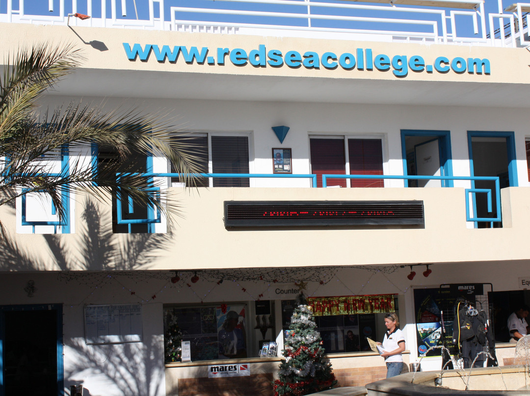 Red Sea Diving College景点图片