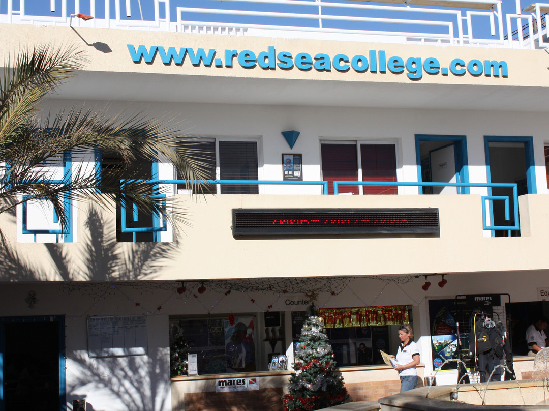 Red Sea Diving College
