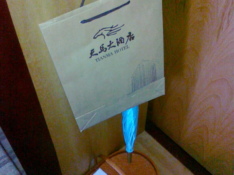 天马大酒店主图