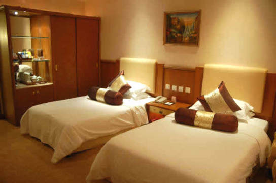 金威大酒店-客卧