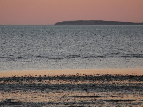 鲨鱼湾-德纳姆必去景点