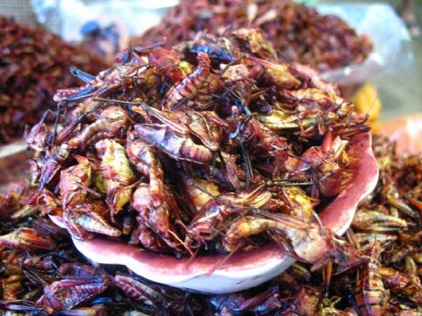 Mercado Benito Juárez-瓦哈卡必去景点