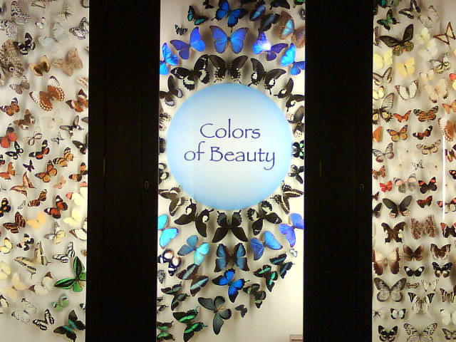 奥杜邦昆虫博物馆-新奥尔良必去景点