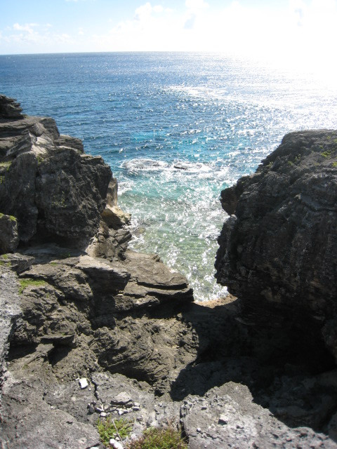 Spittal Pond Nature Reserve-百慕大必去景点