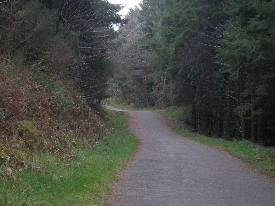 Cratloe Woods-Cratloe必去景点