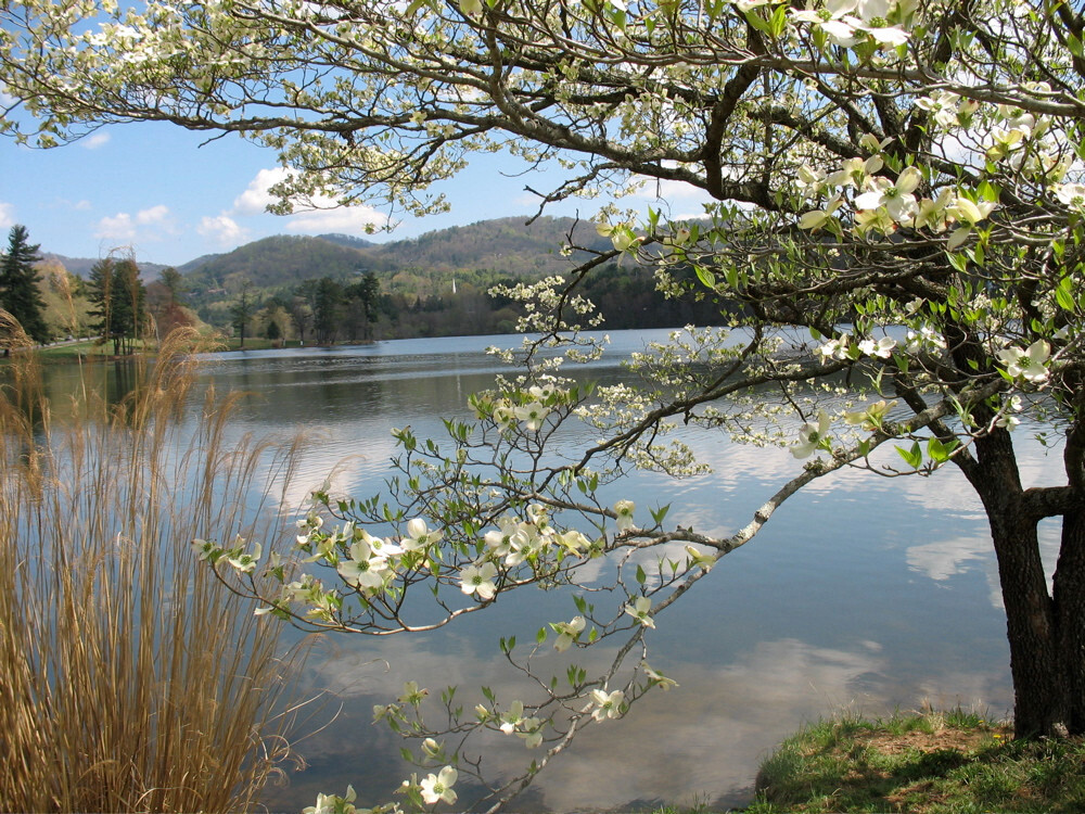 Beaver Lake-阿什维尔必去景点