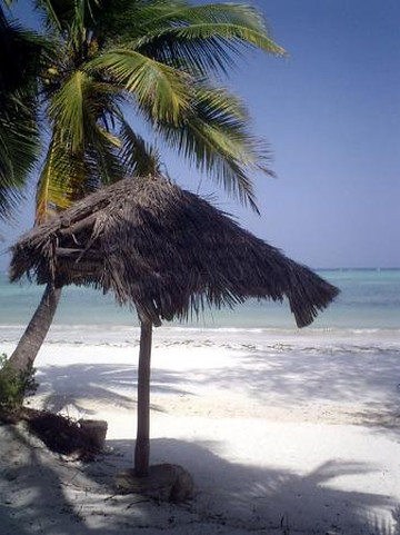 Andy's Karibuni Romantic Garden主图