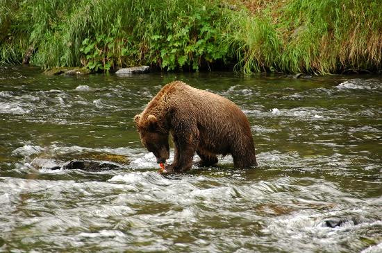 Russian River-基奈必去景点