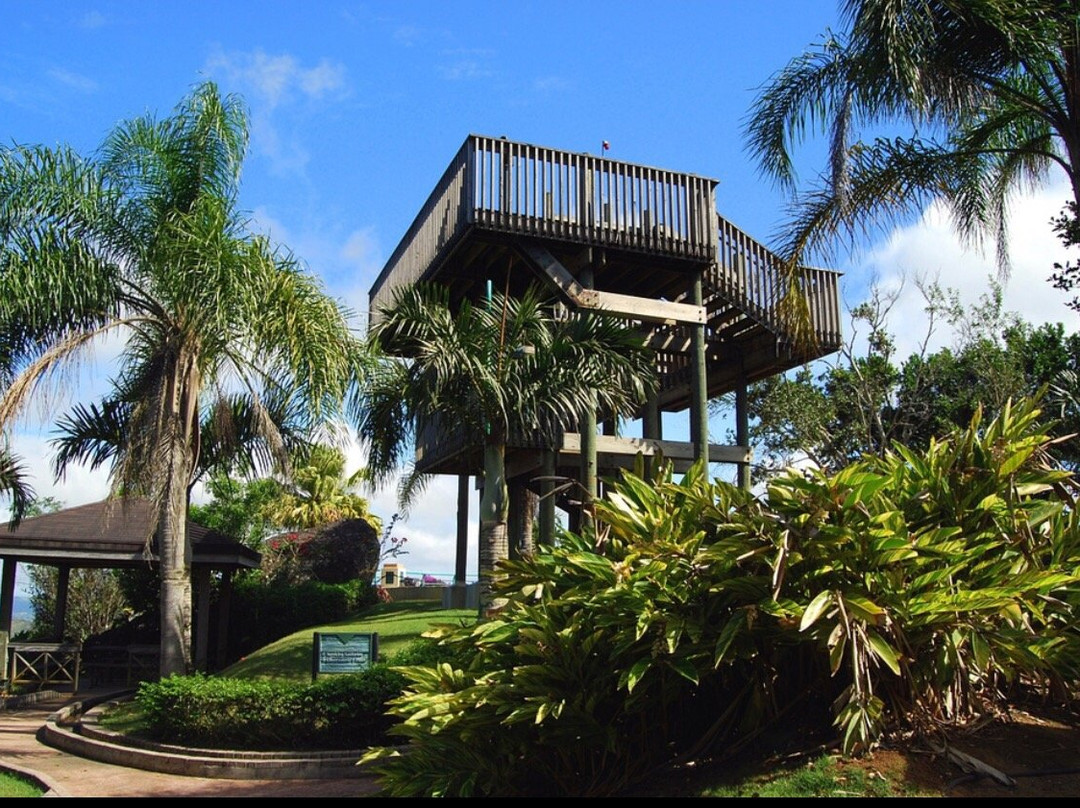 Maton Abajo餐馆和美食-La Piedra Degetau Wine & Beer