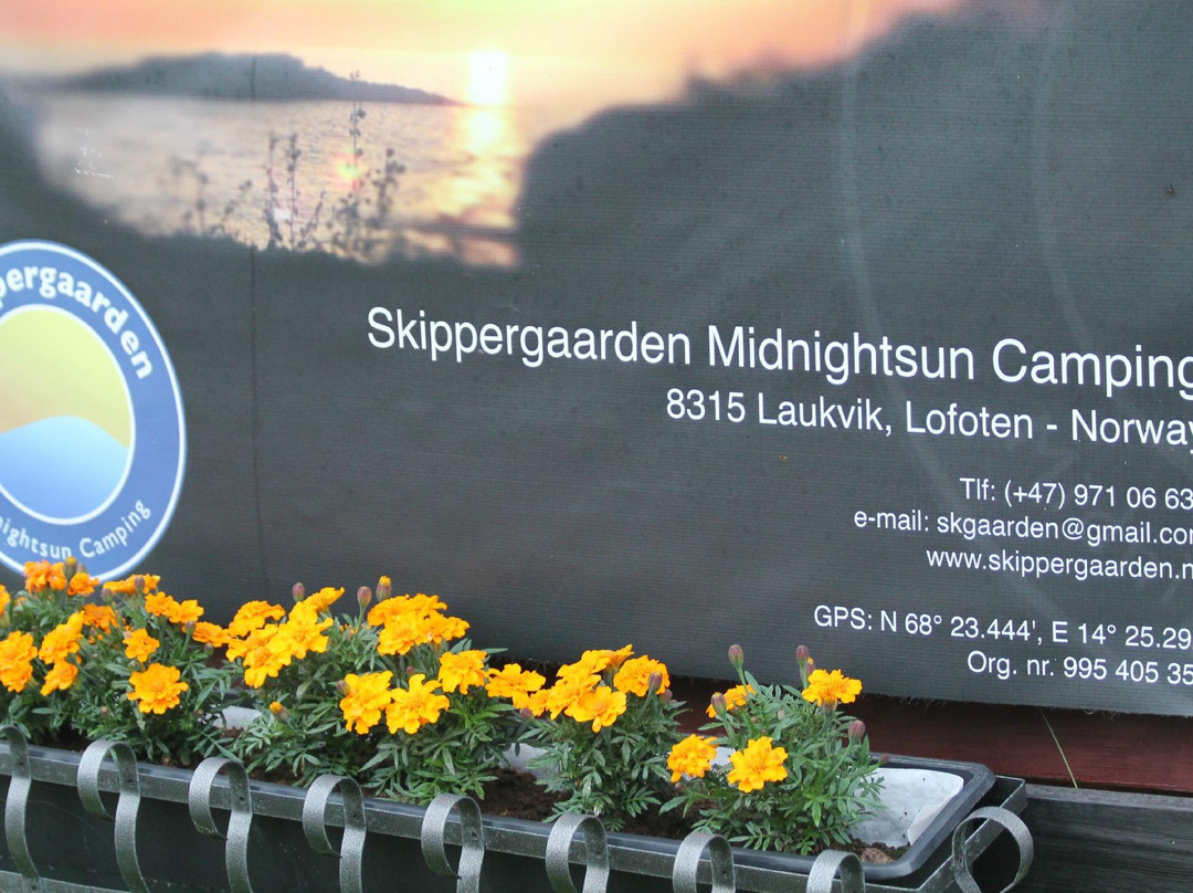 Skippergarden Midnightsun Camping