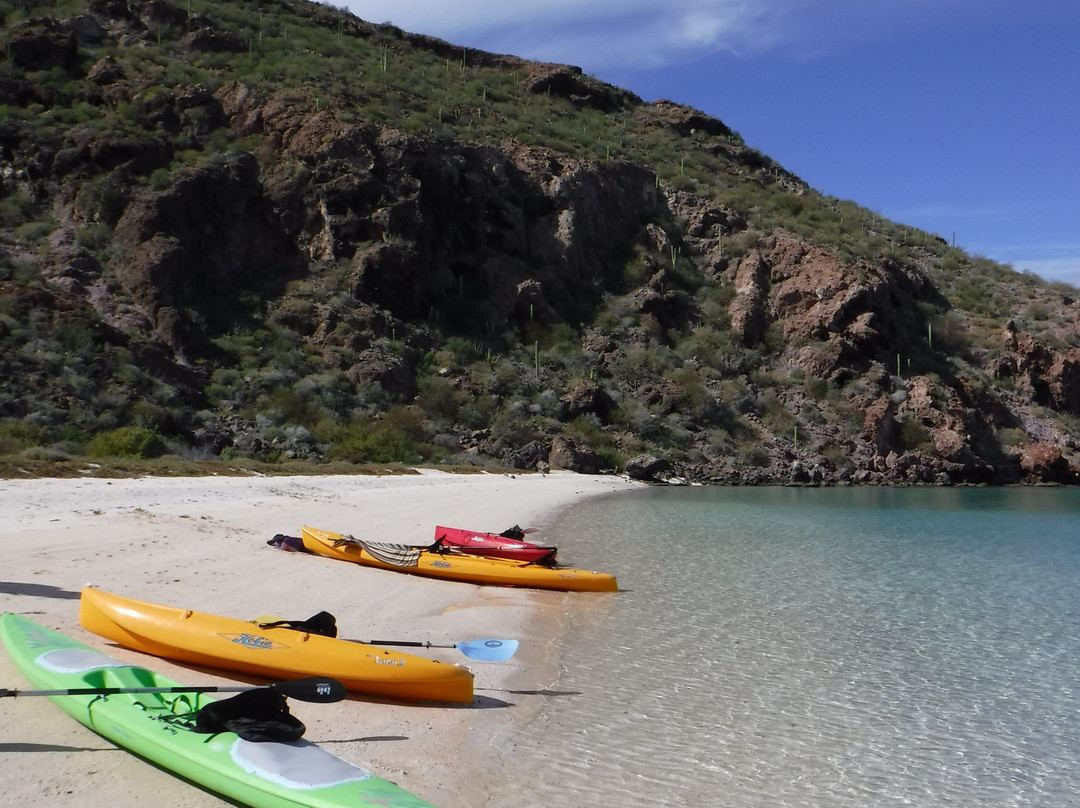 Bahía Concepción-Mulege必去景点