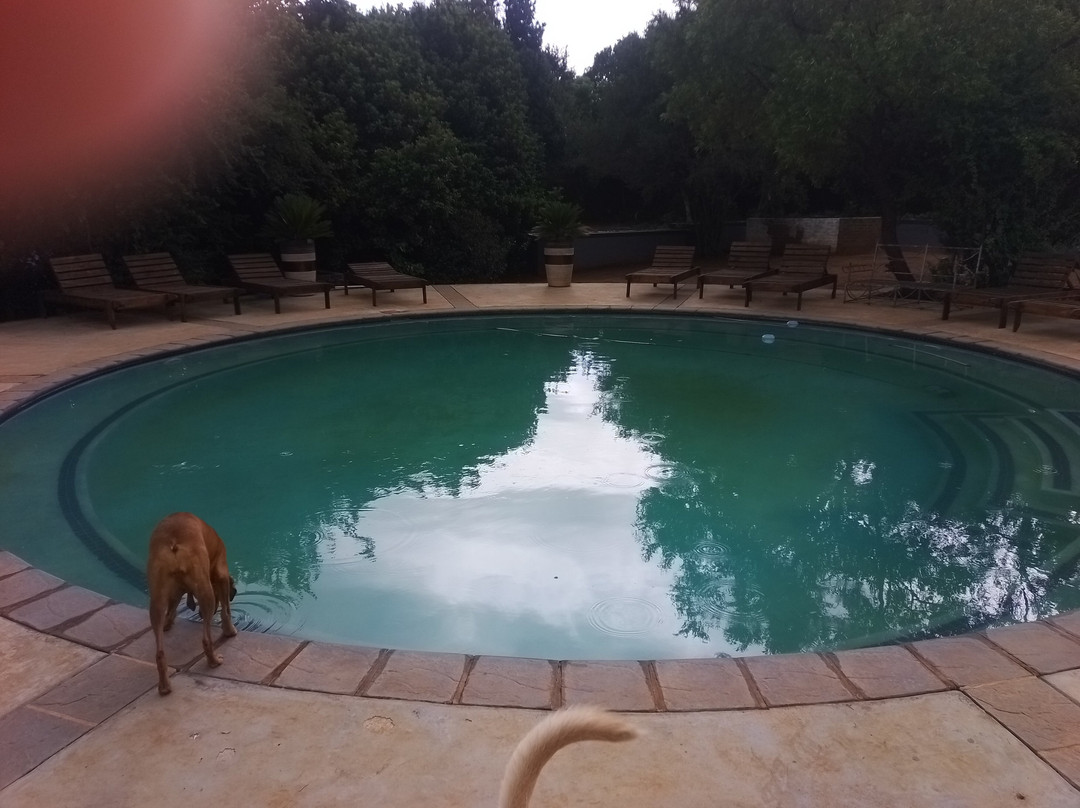 Imbabali Retreat & Venue主图