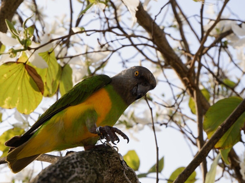 饶宗颐文化馆-香港必去景点