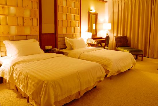 海伦堡大酒店-客卧