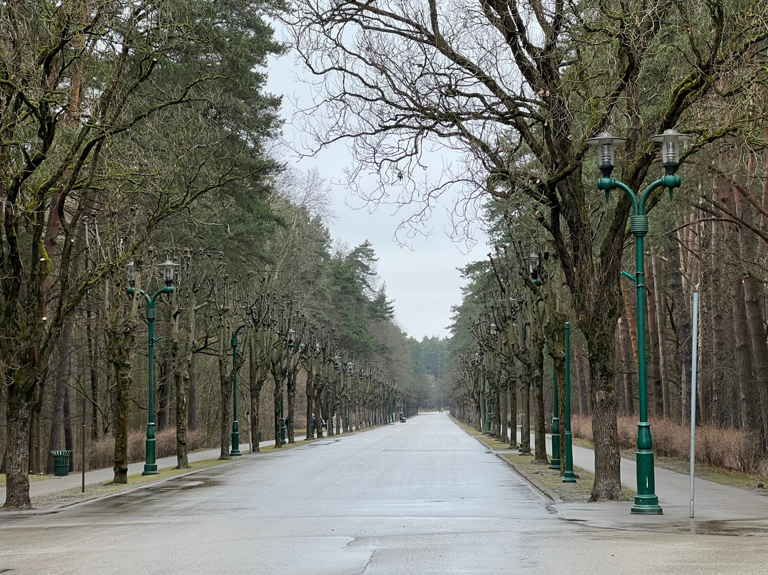 Mezaparks-里加必去景点