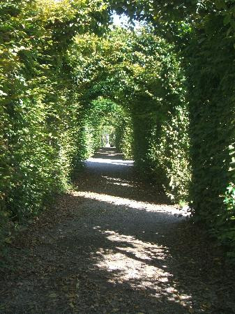 Birr Castle Demesne-Birr必去景点
