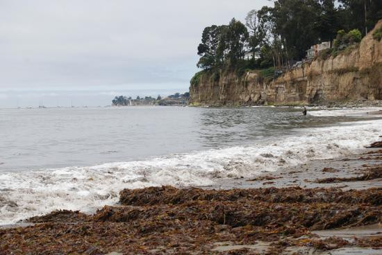 New Brighton State Beach-卡皮托拉必去景点