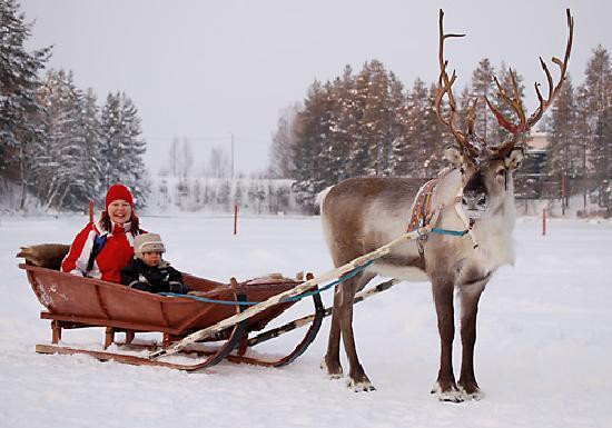 Wild Taiga Finland景点图片