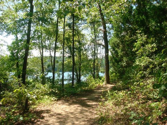 Tyler State Park景点图片