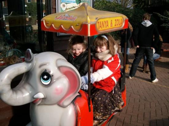 Colchester Zoo-科尔切斯特必去景点
