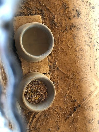 Ferme Mar Chaaya-Broummana必去景点