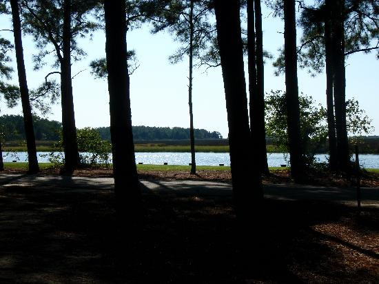 Janes Island State Park-Crisfield必去景点