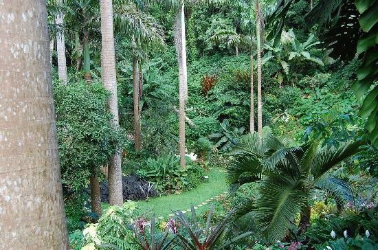 Hunte's Gardens-Saint Joseph Parish必去景点