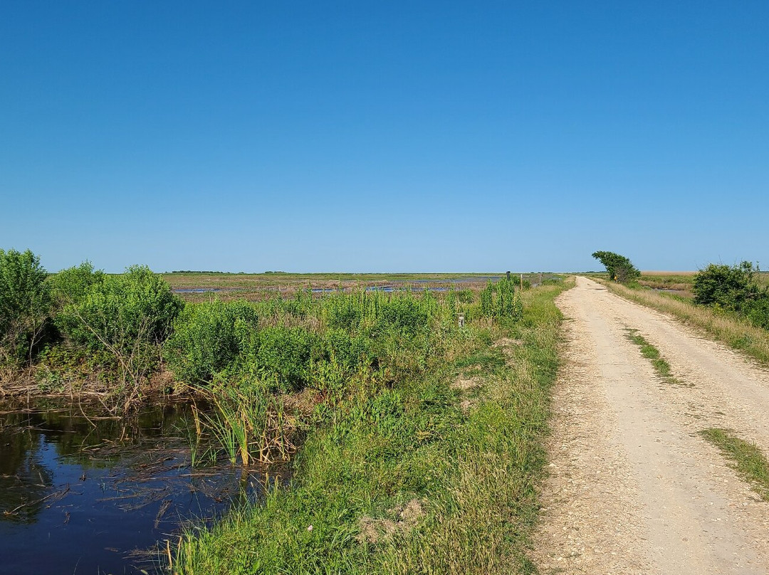 Brazoria National Wildlife Refuge-Freeport必去景点