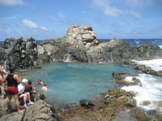 Madagascar Aruba Adventures-奥腊涅斯塔德必去景点